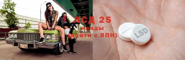 гидропоника Новозыбков
