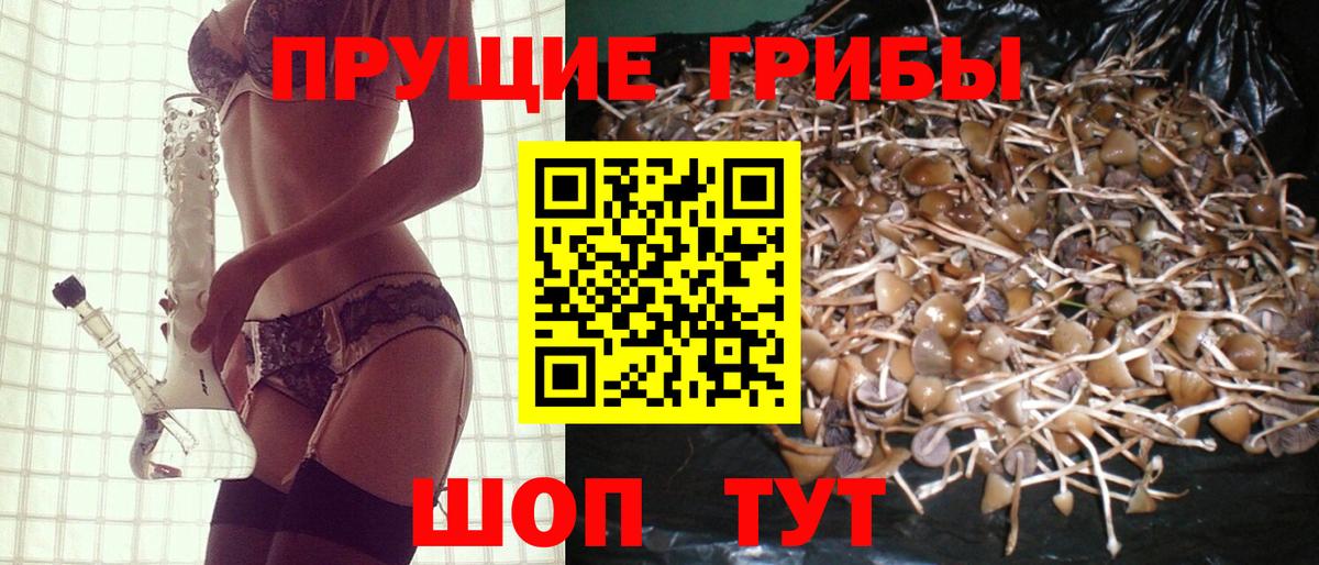 Псилоцибиновые грибы прущие грибы Ейск